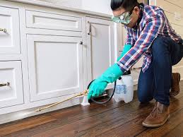 Best Pest Prevention Services  in Washburn, WI